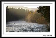Gulf Island Gallery