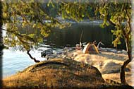 Driftwood Waterfront Cottage, Mudge