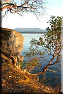 Driftwood Waterfront Cottage, Mudge